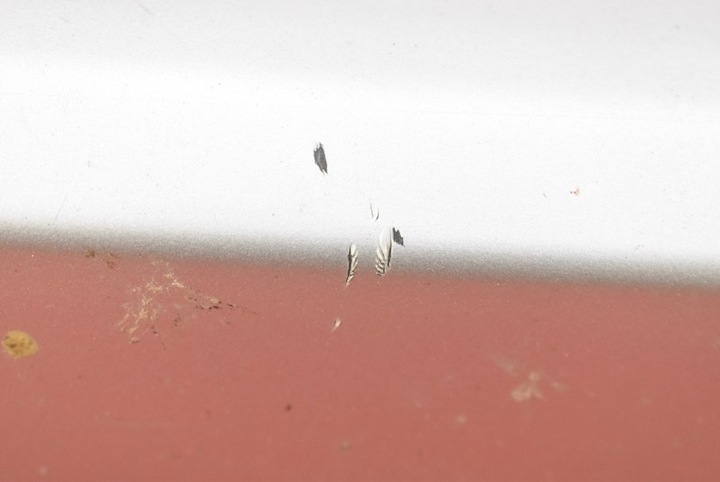 фото №7, Бампер перед переднее 354/7 pdc bmw x5 e53 99-06