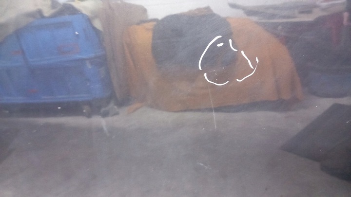 фото №9, Капот opel astra g hb 99r z298