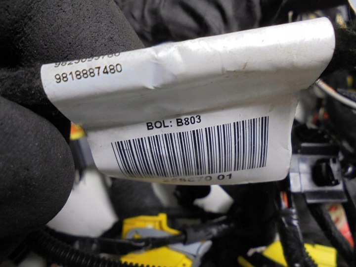 фото №11, Жгут установка кабины 9843461980 9806192580 peugeot 3008 ii 2 19r. 1,5d