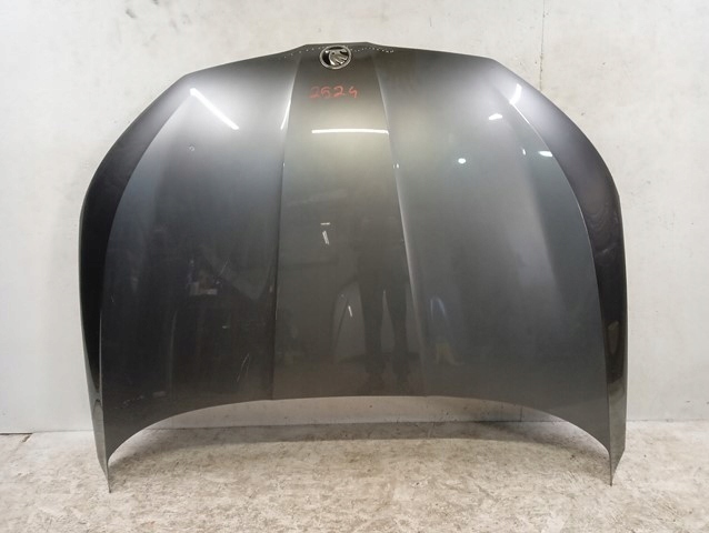 фото №1, Капот кришка двигуна skoda scala 657 19-
