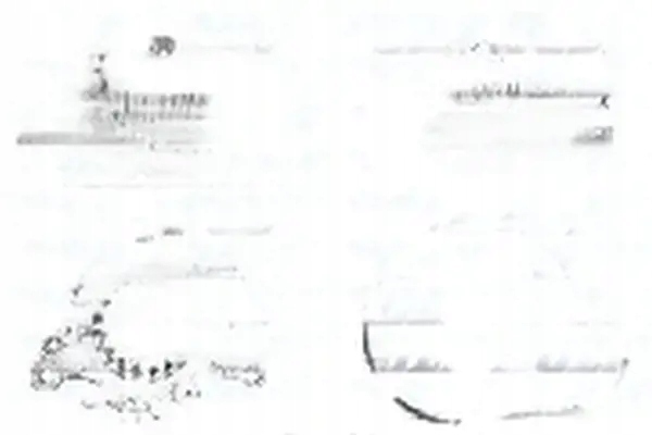 фото №1, Насос води n210 dolz citroen ds ford opel