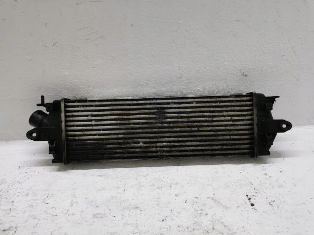 фото №1, Інтеркулер renault trafic ii 2.0 dci 93854162