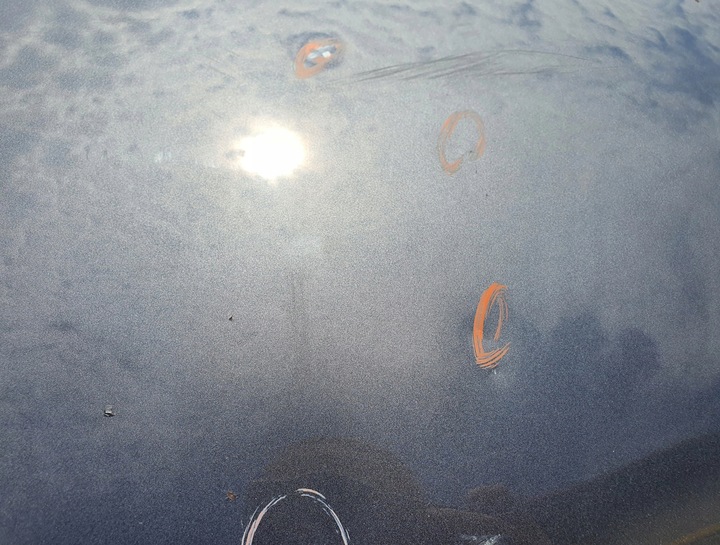 фото №7, Капот кришка двигуна toyota avensis ii t25