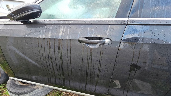 фото №7, Дверь левая перед 4n0831051a ly9t audi a8 l d5 4n