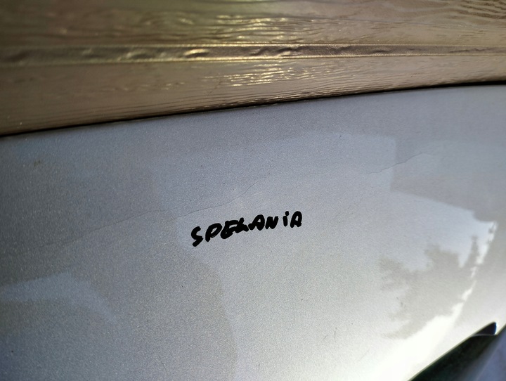 фото №3, Крышка зад renault laguna ii цвет ted69 2005-2007 универсал откидная стекло