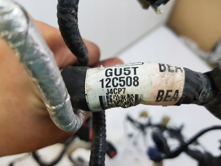 фото №5, Ford mustang vi 2015+ установка двигателя жгут