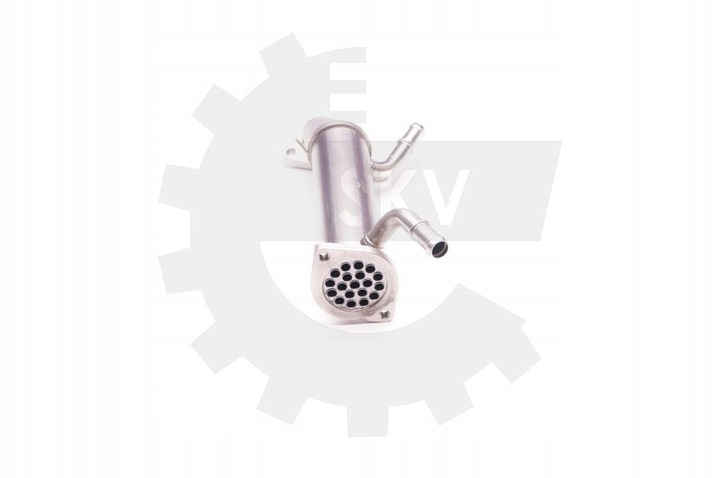 фото №15, 2 d 07.06-05.11 1618r4