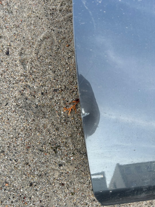 фото №3, Двері ліві mazda mx5 4 iv nd 2015- n24359010