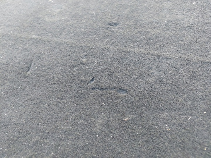 фото №4, Пол обивка багажника kia ceed iii