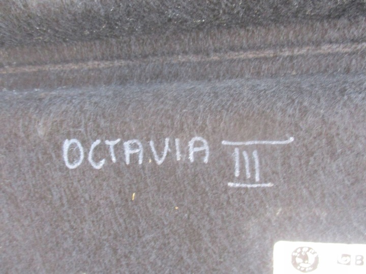 фото №10, Полка зад задняя багажника skoda octavia iii 5e5867769