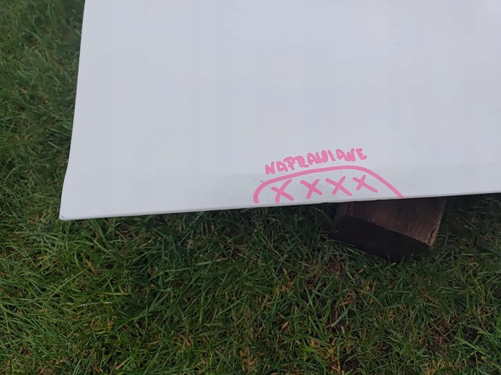 фото №12, Tesla модель y двері праві перед передні 6837