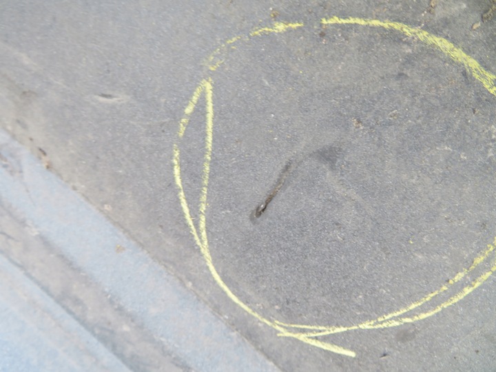 фото №14, Бампер зад bmw 3 f30 рестайлінг lci 7384413