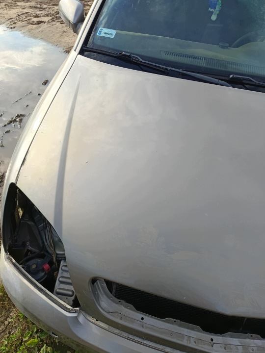 фото №8, Капот opel vectra c z158
