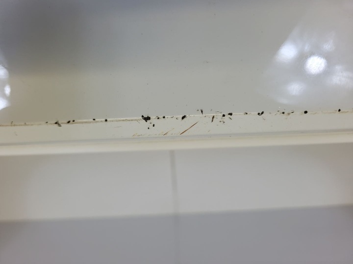 фото №13, Бампер задній seat arona 2020 6f9.807.425