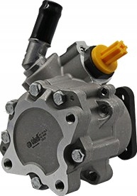 фото №1, Насос усилителя vika