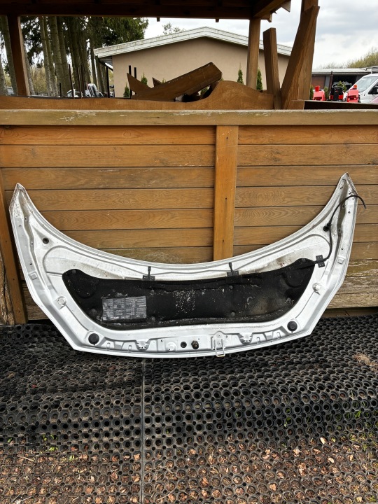 фото №10, Капот крышка двигателя renault scenic ii ted69
