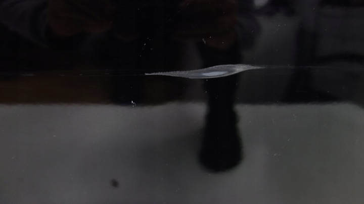 фото №2, Volvo v90cc двері праві зад задні