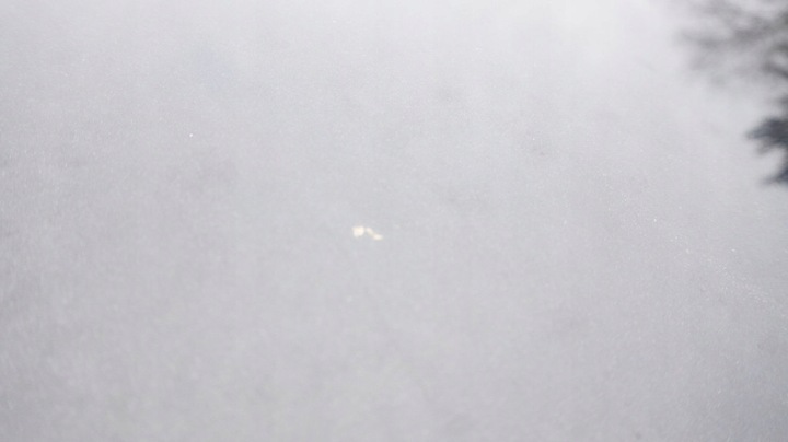 фото №7, Volvo v50 капот передня s40 ii 452-46