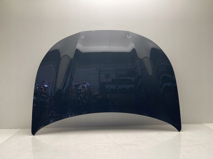 фото №1, Капот cupra terramar