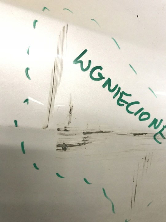 фото №8, Дверь зад задние правые tesla y