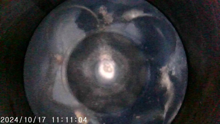 фото №10, Двигун m57d30 m57 306d1 bmw x5 e53 3.0d film вимірювання