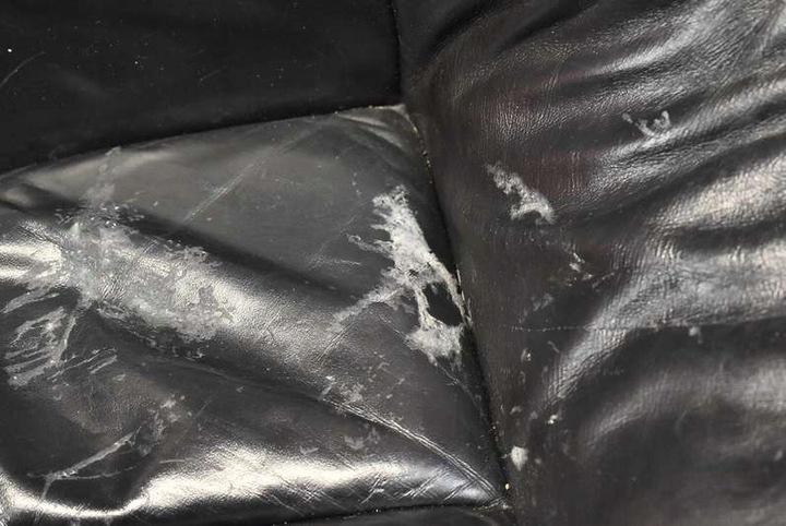 фото №7, Сидіння сидіння комплект шкіряні eu audi a6 c6 універсал 04-08