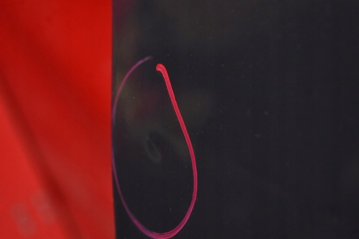 фото №7, Двері праві перед передні li7f vw passat b7 універсал 10-15