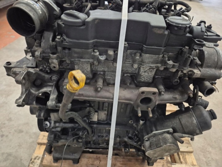 фото №9, Citroen berlingo i 02-12 1.6hdi 75km двигун дизель 9hw 10jb79