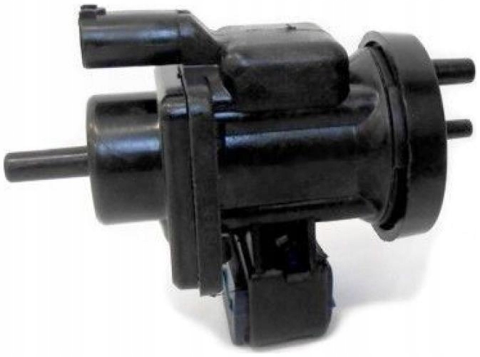 фото №2, Meat & doria 9383