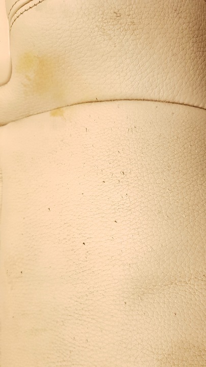 фото №9, Средство сиденья диван боковина ремни туннель bmw f32 кожа электрика