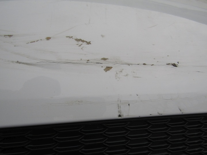 фото №9, Бампер audi tt 8s 14-18 зад pdc s-line