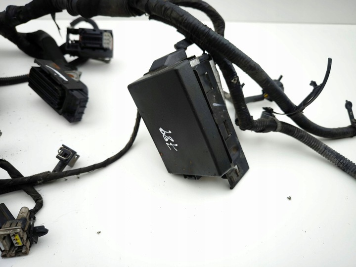 фото №15, Opel antara 2012 джгут двигуна 95489694