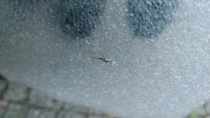 фото №7, Стекло лобовое odprysk с подогревом титан датчик ford edge 19 рестайлинг usa