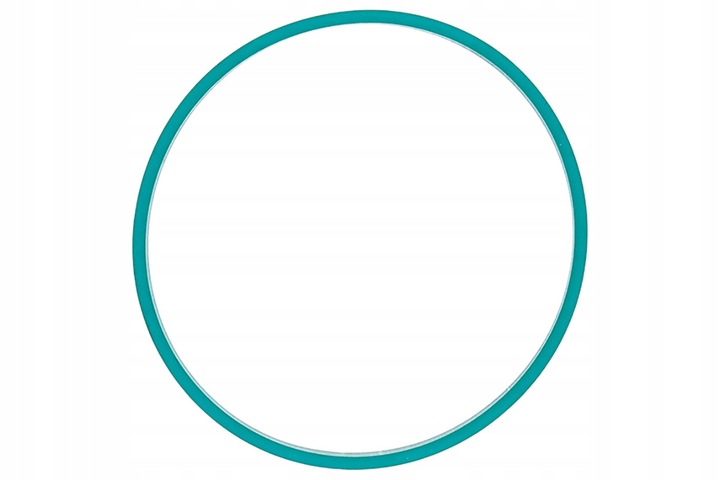 фото №1, Vdo a2c59516956 прокладка