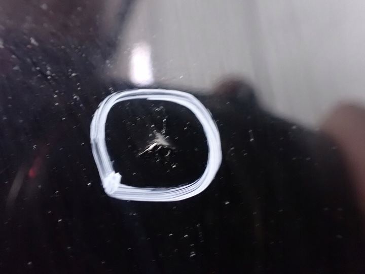 фото №9, Капот audi a4 b8 avant 2008r 3.0 tdi eu l8l8 lz9y 10361