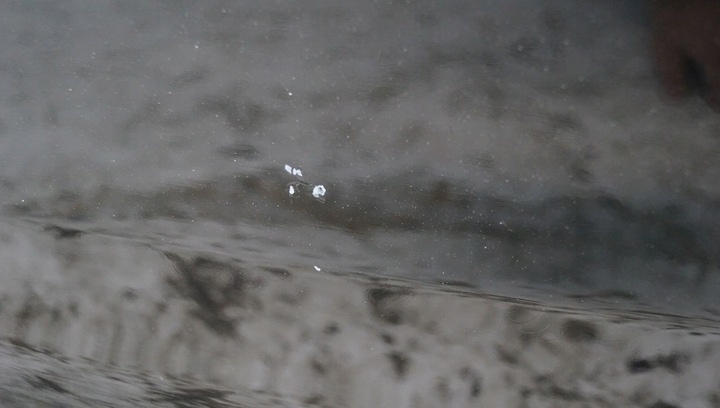 фото №11, Двері лівий зад audi a4 b9 sedan