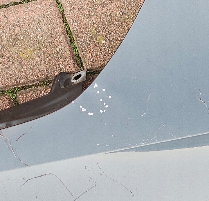 фото №6, Skoda rapid рестайлинг 16-19 крыло левый