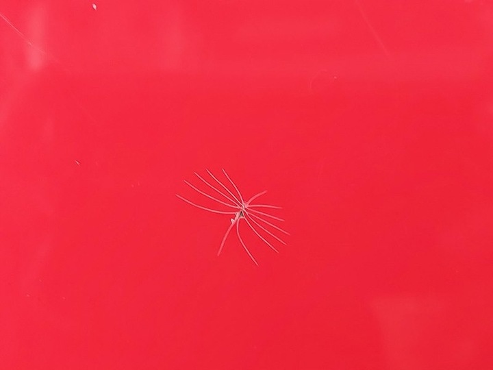 фото №12, Капот кришка кришка двигуна решітка радіатора решітка перед skoda fabia 1 i 6y2, 6y5