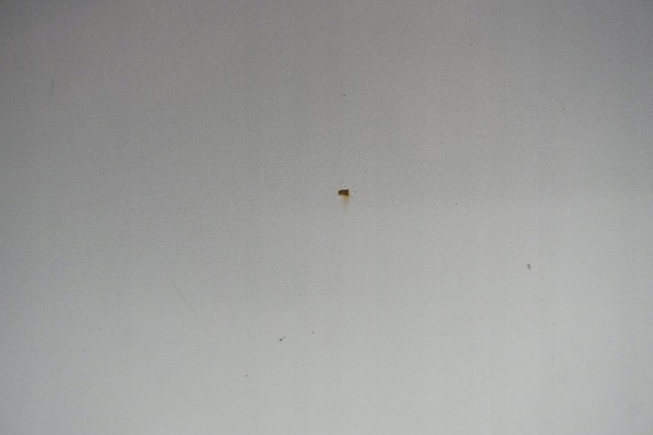 фото №11, Toyota avensis t27 універсал двері лівий зад задні 1f7