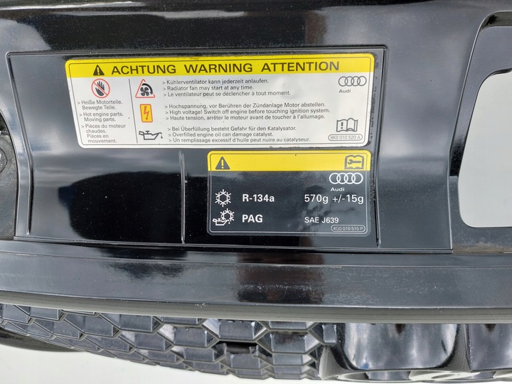 фото №13, Решітка радіатор решітка радіатора audi rs3 рестайлінг 8v4 eu