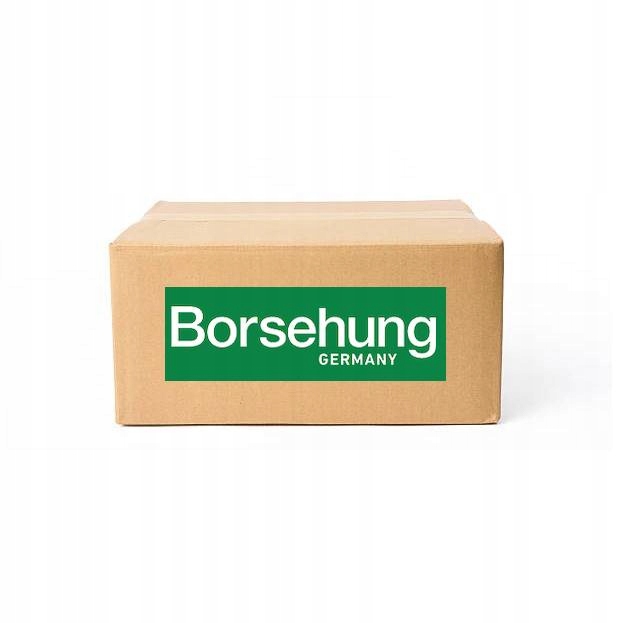фото №1, Набор кольца поршень b10367 borsehung