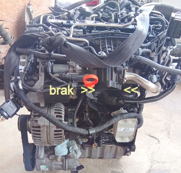 фото №11, Cay 1.6 tdi двигун комплектний seat leon skoda octavia vw golf caddy