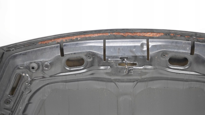 фото №9, Капот кришка двигуна citroen berlingo iii 08-13r exy