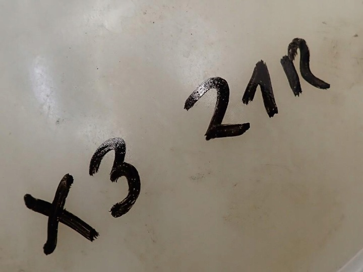 фото №8, Бачок розширювальний води 7925685 8742660 bmw x3 x4 g02 g01 2.0d b47 21r