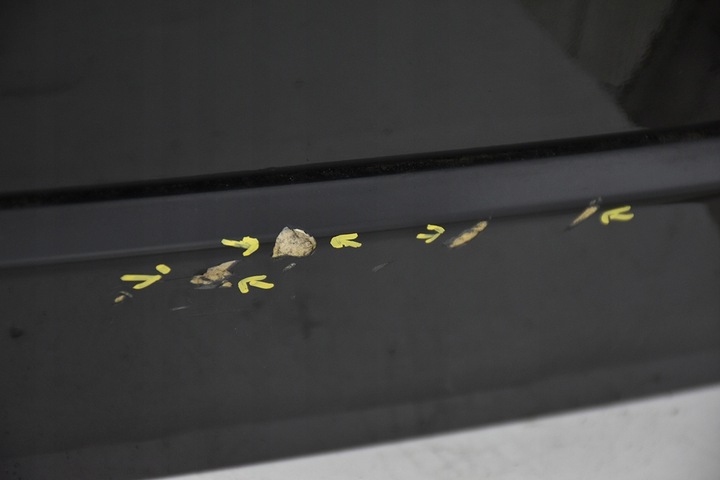 фото №3, Кришка задня зад range rover iii l322 vogue