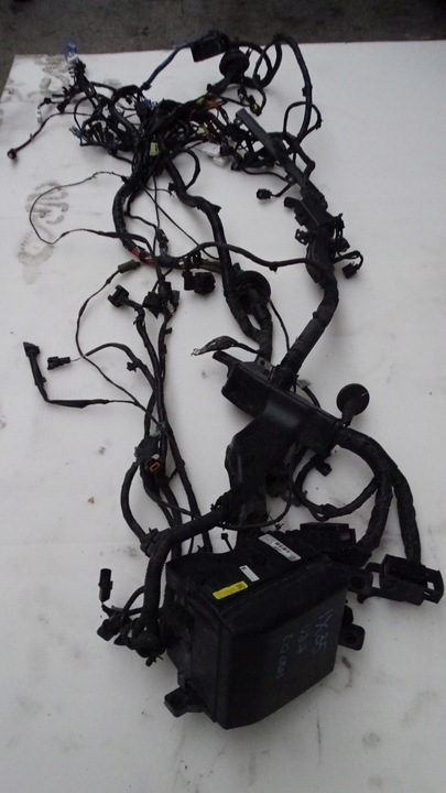 фото №1, Джгут двигуна корпус hyundai ix35 2.0 dohc a/t