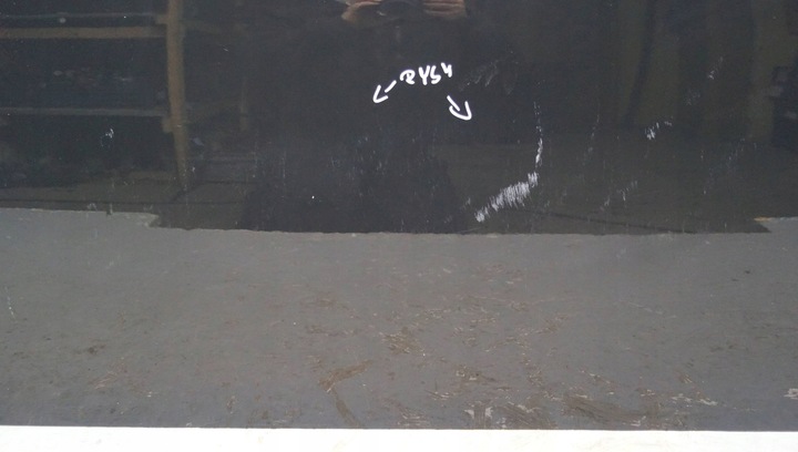 фото №7, Двері правий перед mini cooper r56 d1678