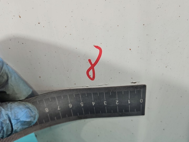 фото №12, Двері перед ліві peugeot boxer ii 06- білий