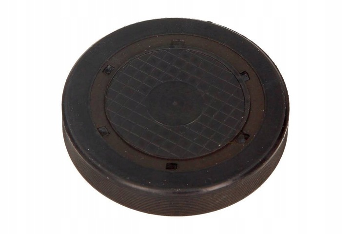 фото №1, 7700106271 заглушка вал розподільний вал renault 7700106