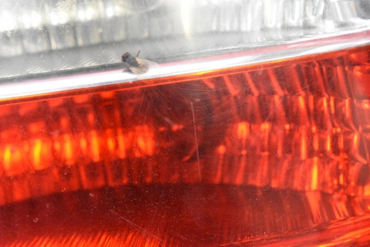 фото №14, Фара права зад задня 90521544 opel astra 2 ii g 3d hb 98-09